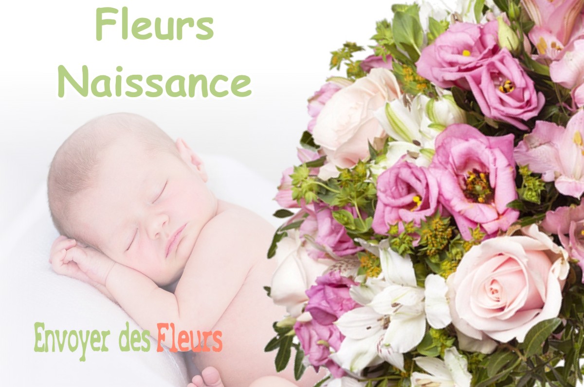 lIVRAISON FLEURS NAISSANCE à ROTALIER